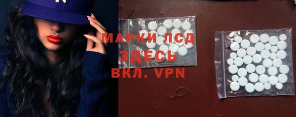 дурь Гусев