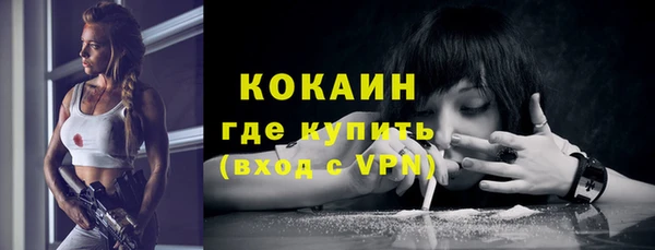 PSILOCYBIN Гусиноозёрск