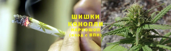 дурь Гусев