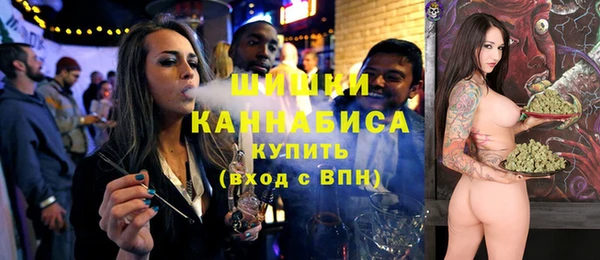 PSILOCYBIN Гусиноозёрск