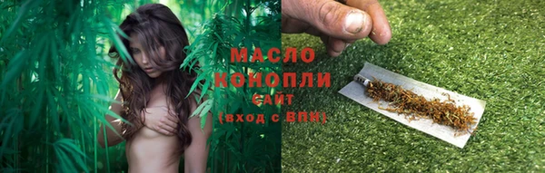 дурь Гусев