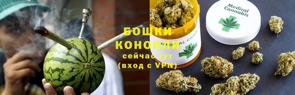 PSILOCYBIN Гусиноозёрск